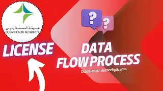 Data Flow Process for Dubai Health Authority License