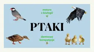 #33 Ptaki 🦅 - budowa, charakterystyka, podział, budowa jaja 🥚🪶 - matura z biologii 🍃 liceum