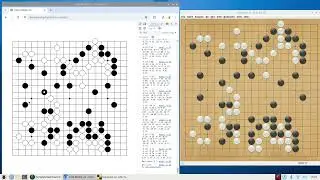 Playing With KataGo Neural Network in Web Browser