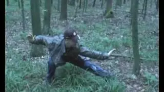 Forest Kung Fu: Seven steps of Shaolin