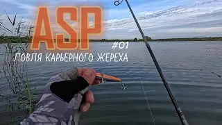 ASP - Ловля карьерного жереха.