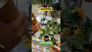 Rudrabhishek || रुद्राभिषेक||
