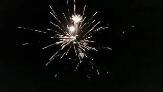 100 Shot Firework "BANGER"