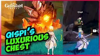 Qispi's luxurious chest | 5.0 Genshin Impact