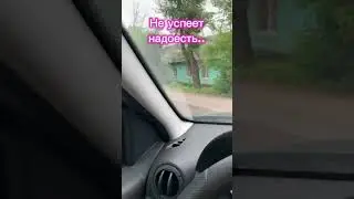 Работа курьером - Как найти постоянную работу - временно..#работа #курьер #какзаработать #бизнес