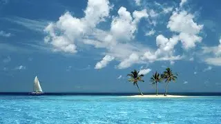 Тропический рай. Сергей Чекалин. Tropical paradise. Sergei Chekalin.