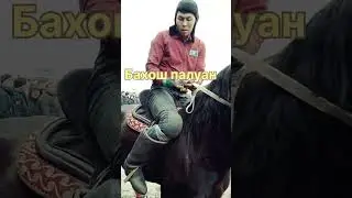 Мамырбай  ақсақалдың атыменен Бахош палуан 
