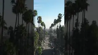 Hislerim Los Angeles #losangeles #hislerim #beautiful #chillout #tsunamishorts