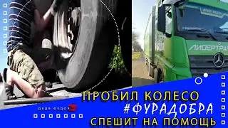 PILOTED TIRE 
