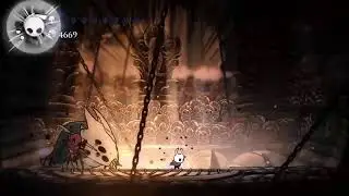 Hollow Knight (22)