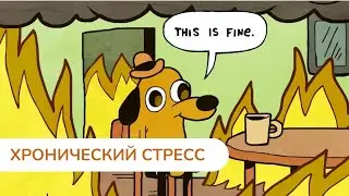 Хронический стресс: причины, признаки и примеры из жизни