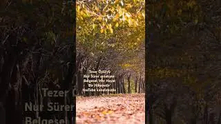 Tezer Özlü'yü Nur Sürer anlattı. 'Her Hayat Bir Hikayedir' YouTube kanalımızda #tezerözlü #nursürer