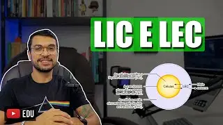 LÍQUIDO INTRACELULAR X EXTRACELULAR [BioCel 08]