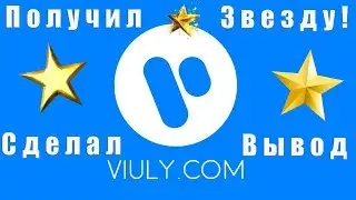Viuly - получил Звезду, сделал Вывод | Мои советы