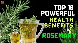 10 Powerful Health Benefits of Rosemary You Have To Know.