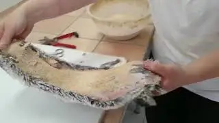 Ошкуривание шиншилл Венгрия  Wanger