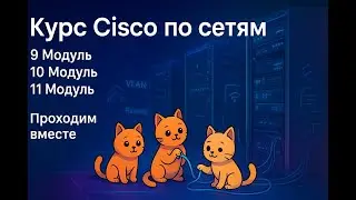 Проходим курс Cisco network basics вместе | Видео №6