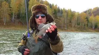 (Трейлер) СОКРОВИЩА МРАССУ! Рыбалка на Хариуса в Шорском Национальном парке!