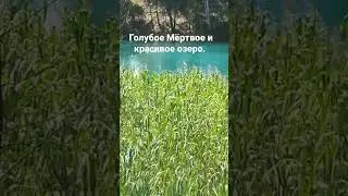в этом красивом месте нет жизни.