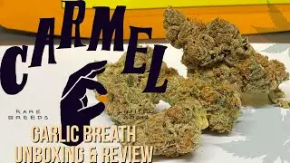 Carmel Cannabis Garlic Breath Unboxing & Review | Canadian Cannabis Review