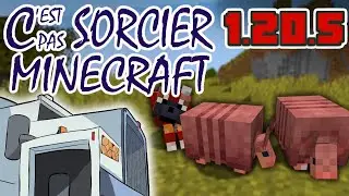 Mise à jour 1.20.5 : Présentation humoristique - C'EST PAS SORCIER MINECRAFT