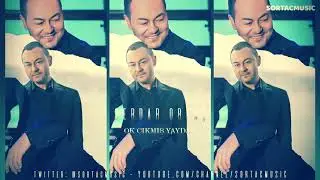 Serdar Ortaç - Ok Çıkmış Yaydan (Hi-Res Audio) - 2020