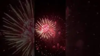 Happy New Year 2024