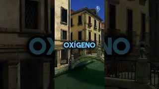 How Venice was built with wood and mud in the water 🤔🪵 
