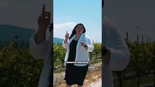 Анапа это СТОЛИЦА Виноделия?!