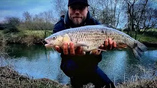 PB Chub!!! How To Catch All Species With One Spinning Rod!!! Spinning Fishing For Chub Perch Pike