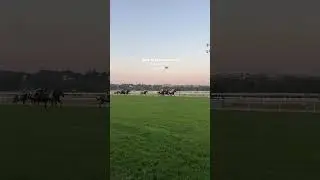 🐎🤌🏻