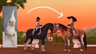 Star Stable Online | My BIRD chooses what MORGAN I buy!