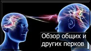 Обзор общих и "других" перков экипажа (Wild Tanks Online)