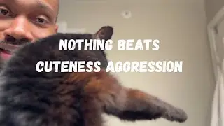 Nothing Beats CUTENESS AGGRESSION!