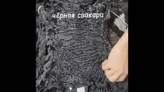 6 сентября 2024 г.