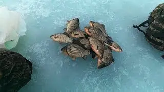 КРУПНЫЕ КАРАСИ В КОНЦЕ ФЕВРАЛЯ!!!