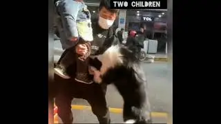 Брось ее! Меня бери 😂