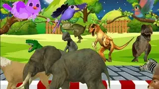 running green screen animal crossing video animal stampede  animals green screen