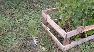Ещё одна стена предбанника готова ( часть 2 ).Побелка деревьев.