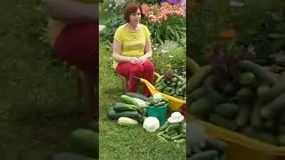 Какой ужас! Катастрофа!