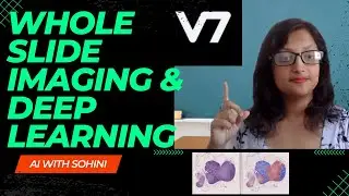 Deep Learning for Whole Slide Imaging | Preprocessing and Annotating WSI Datasets with V7