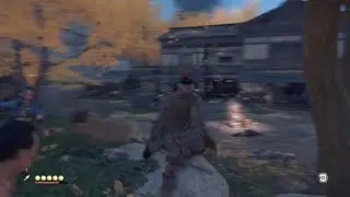 Ghost of Tsushima: Jin has a stroke