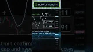 Year's Craziest MEME Coin Discovery BOOK OF MEME 