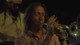 The Black Seeds Live @ Sziget 2012 [Full Concert]