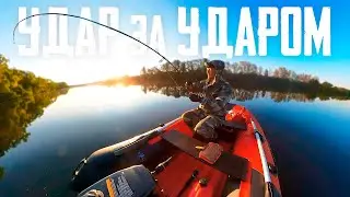 🔴 BLOW by BLOW on this UNIQUE WOBBLER!!! 🔥🔥🔥
