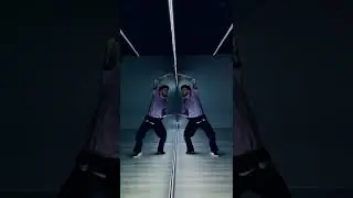 Mirror twin