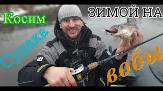 Косим судака зимой на воблеры. Часть первая.