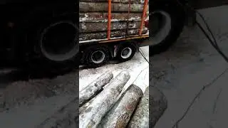 Ман не может выехать