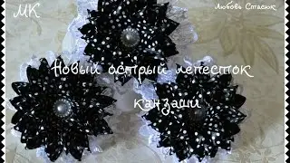 Шикарный острый лепесток/ Новый лепесток/ New petal