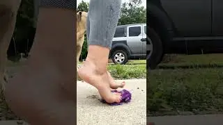 Feetcrush, flower | ASMR & CRUSHING